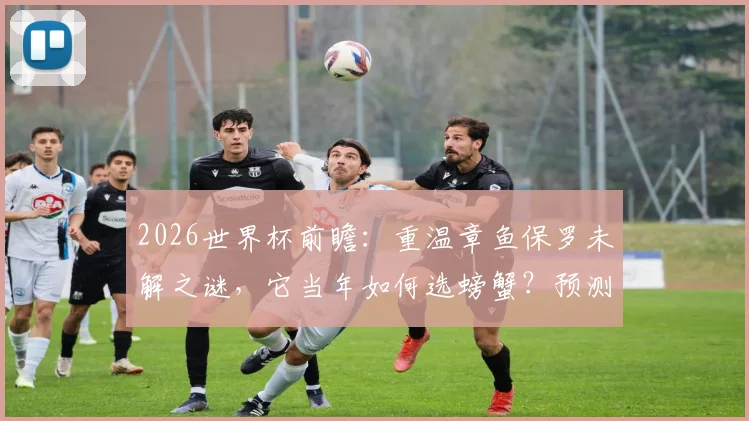 2026世界杯前瞻：重温章鱼保罗未解之谜，它当年如何选螃蟹？预测原理与死亡真相全解析